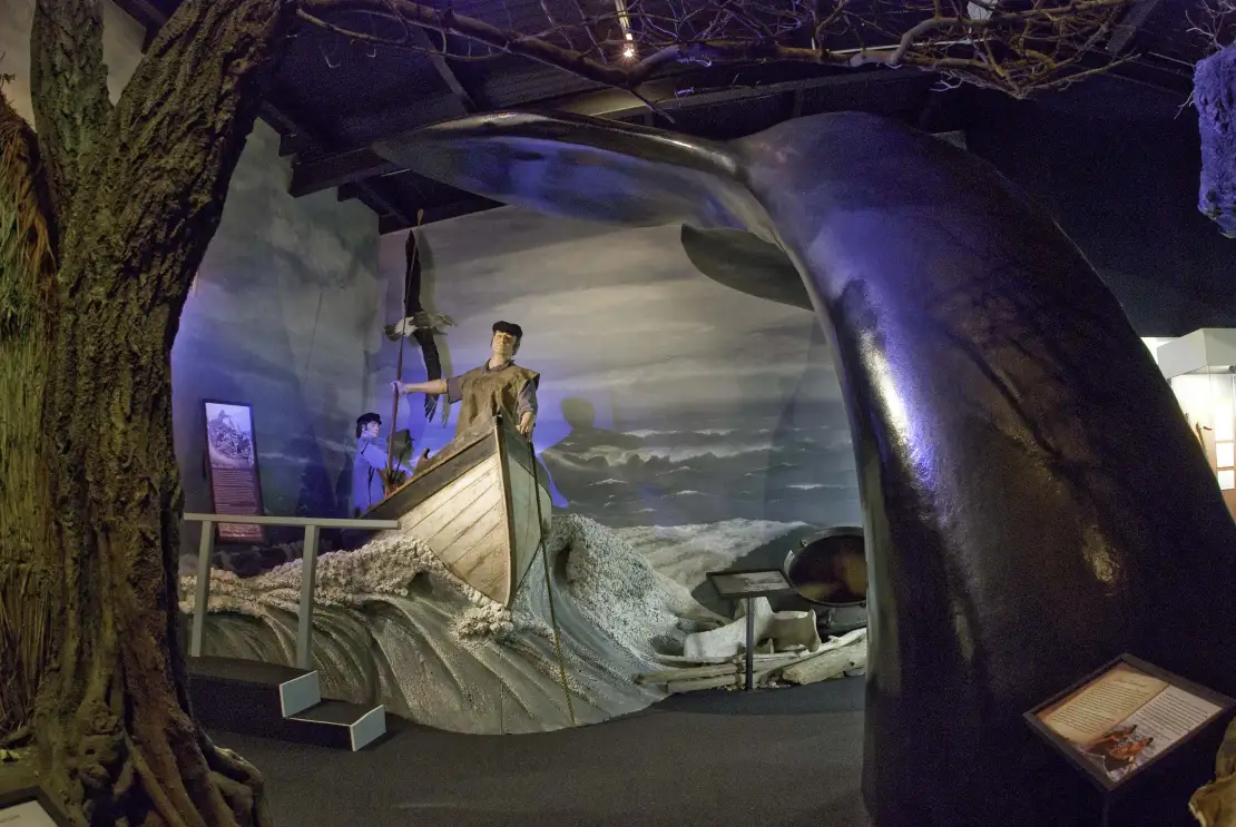 Whaling display